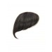 Wigs2you 劉海片 日本正品 髪片 隱形無痕 時尚 魅力 斜劉海 氣質OL型W-704-B